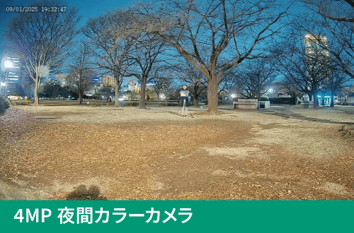 4MP夜間カラーカメラの撮影画像